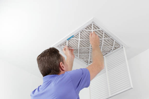 Air Duct Mold Removal in Hurlock, MD